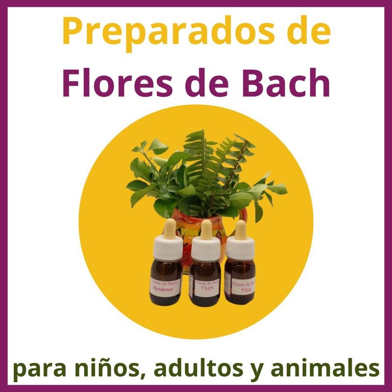 ¿Conoces los beneficios y propiedades de las esencias florales de Bach originales y por qué tomar preparados de flores de Bach?