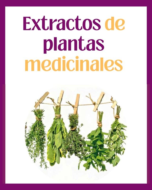 Com preparar una infusió i obtenir els millors beneficis de cada planta per a la salut?