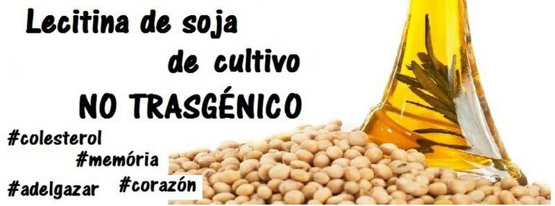 Lecitina y colesterol