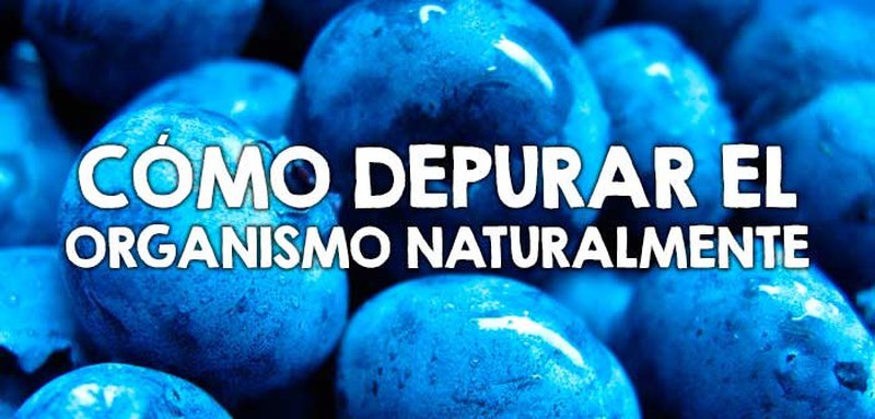 Como depurar el organismo de forma natural