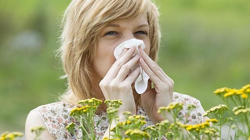 Productos naturales para los resfriados de primavera