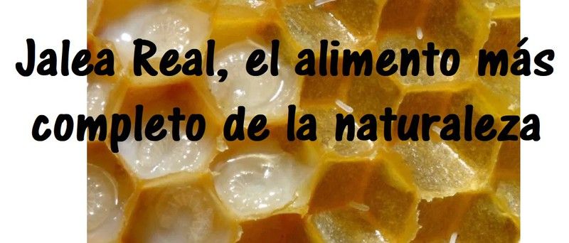 Jalea real que es y para qué sirve