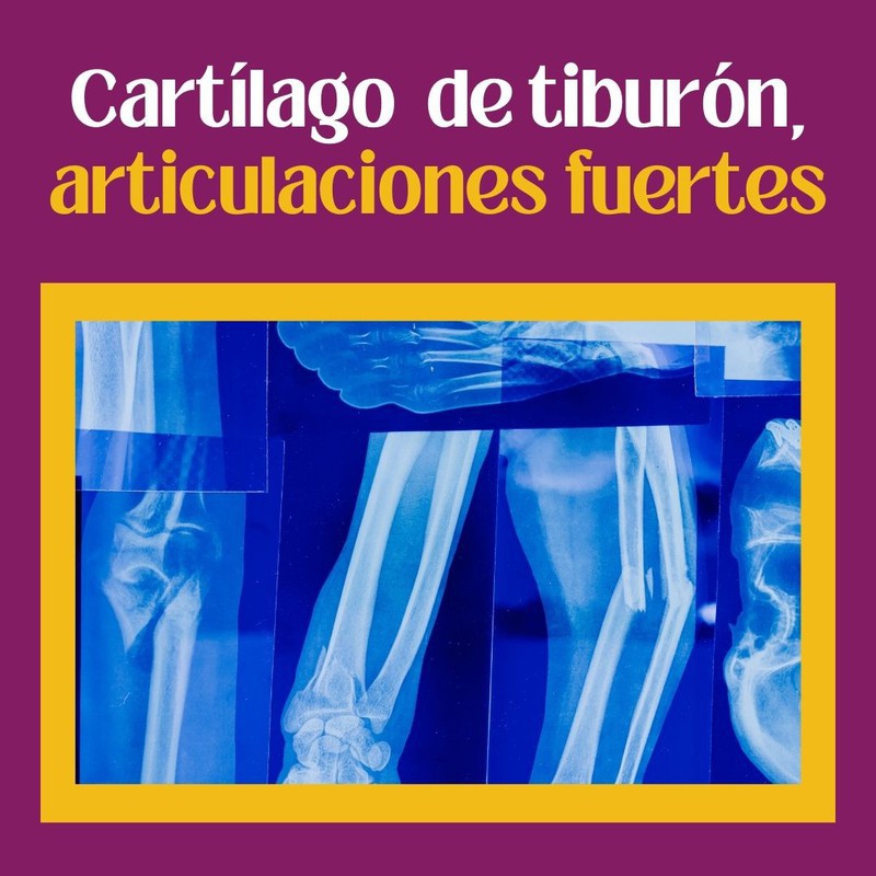 ¿Qué tomar para fortalecer las  articulaciones y evitar la artrosis y la artritis?