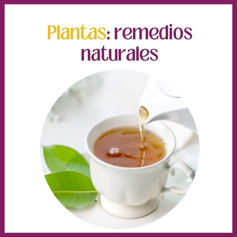 Remedios de la abuela: las infusiones de plantas medicinales