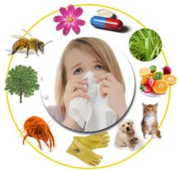 Alergias antihistamínicos naturales