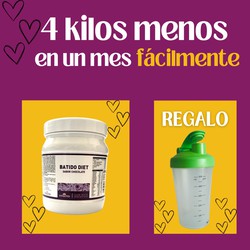 Batido DIET  Xocolata REGAL mesclador 1/5l