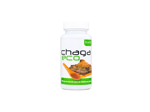 Chaga Eco Plantis Artesania Agricola