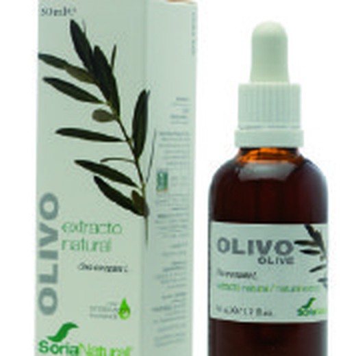 Extrait olive de Soria Natural