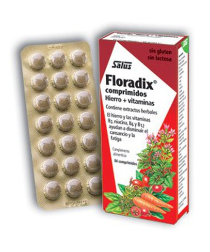 Floradix energía anemia 84 comprimidos Salus