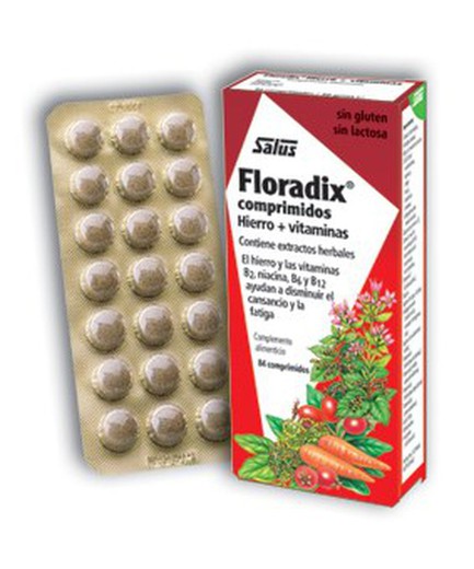 Floradix energia anemia 84 comprimidos Salus