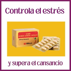 Ginseng Korean 100 cápsulas de 500 mgr energia Tongil