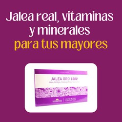 Jale Oro 1500 mg 20 frascos de geléia real Teresa Pons