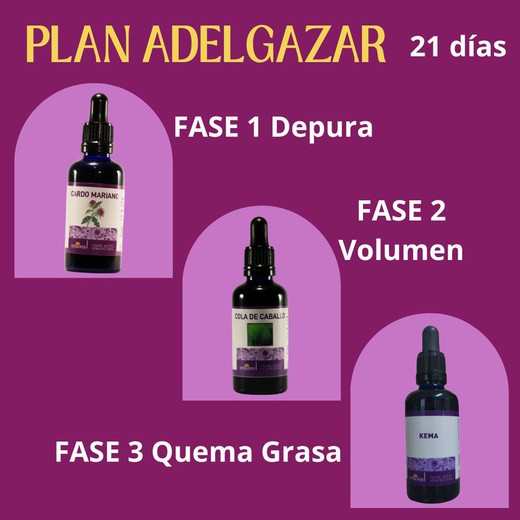 Plan para adelgazar en 21 días sin gastos de envio