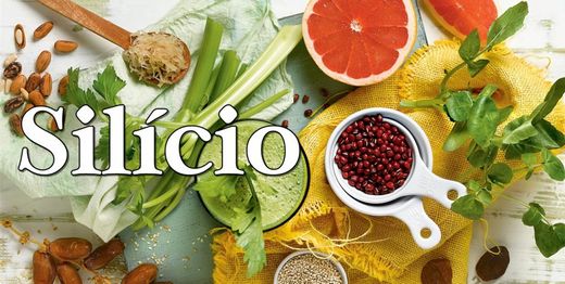 Silicio orgánico