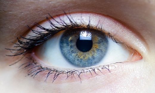 Ojos Visión
