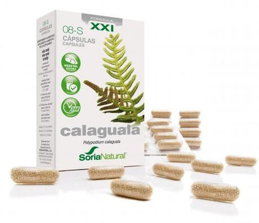 Calaguala XXI 30 Soria Natural