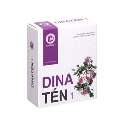 Dinaten 1 de Mahen