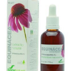 Extracto de Equinacea de Soria Natural