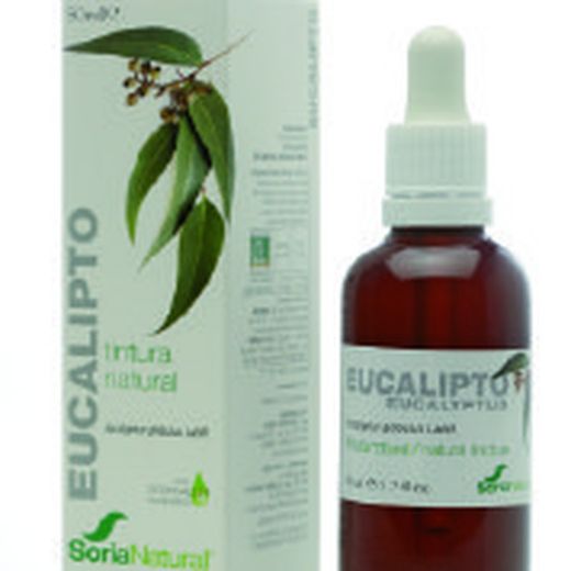 Extracto de Eucalipto de Soria Natural