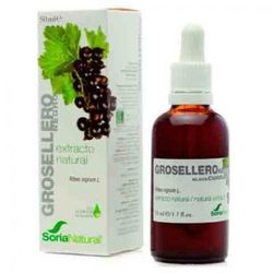 Extracto de Grosellero Negro de Soria Natural