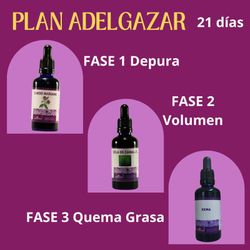 Plan para adelgazar en 21 días Envio gratis