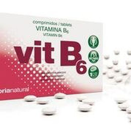 Vitamina Vit B6 200 mgrs. 48 Retard